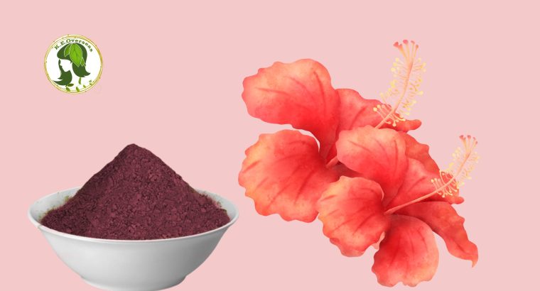 Manufacturer and Exporter of Hibiscus Powder for Hair
