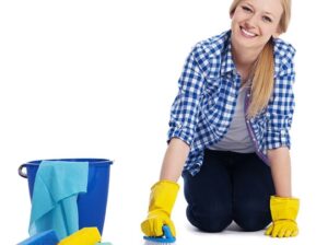 Professional Carpet Cleaning Services