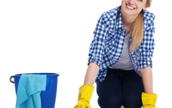 Professional Carpet Cleaning Services