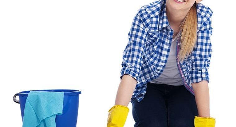 Professional Carpet Cleaning Services