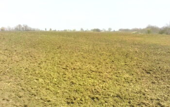 FOR SALE 9500 Sq m Building Plot Near Sunny Beach