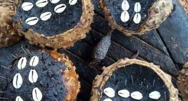 The best powerful herbalist in Nigeria
