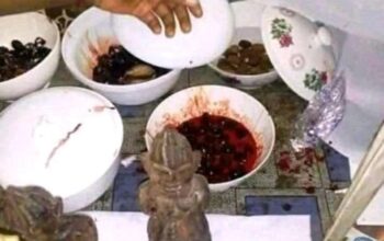 The best powerful herbalist in Nigeria