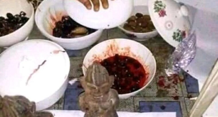 The best powerful herbalist in Nigeria