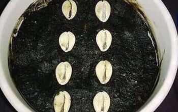 The best powerful spiritual herbalist Nigeria
