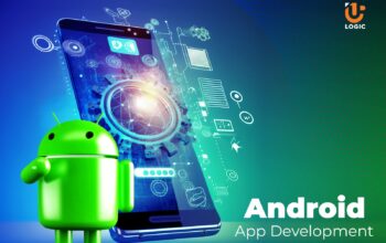 custom web app development service
