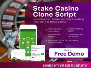 Empower Your Business: Stake Casino Clone Script Solutions