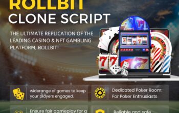 Customize Your Casino Experience with Rollbit Clone Script