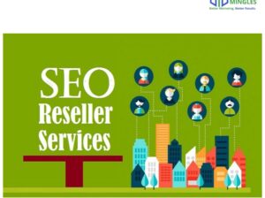 Fueling Digital Success: SEO Reseller Services in India