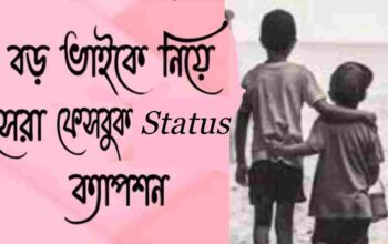 বড় ভাই: ছোট ভাইবোনের আশ্রয় ও সঙ্গী
