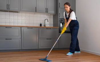 Sparkle Your Home with Professional Domestic Cleaning Servic