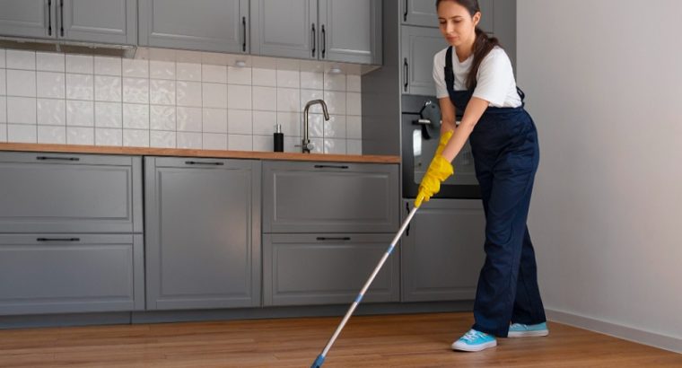 Sparkle Your Home with Professional Domestic Cleaning Servic