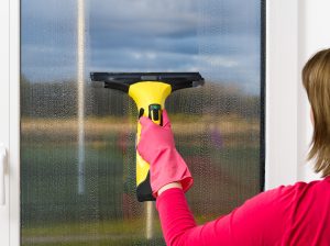 Citrus Cleaning Services for Flawless Window Cleaning!