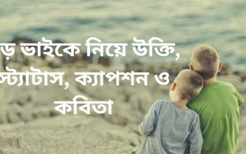 বড় ভাই নিয়ে স্ট্যাটাস: বাংলাদেশে পরিবারের পরিবর্তনের পরিধি