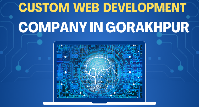 Custom Web Development Company in Gorakhpur