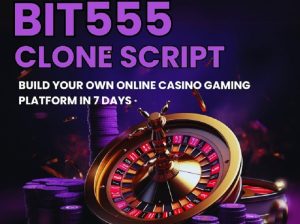 Bit555 casino clone script -Your gateway to casino venture s
