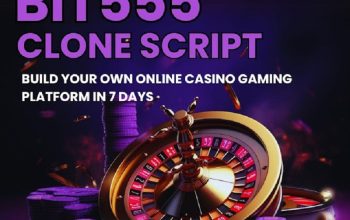 Bit555 casino clone script -Your gateway to casino venture s