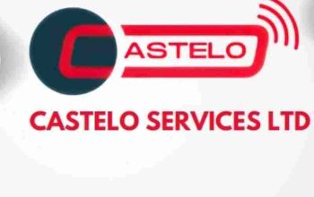 Revolutionize Your Data Management with Castelo Services!