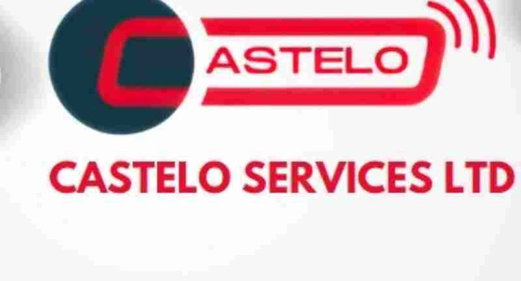Revolutionize Your Data Management with Castelo Services!