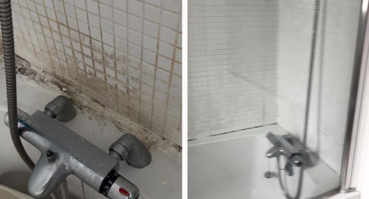 Get Premium Cleaning Services for Dirt and Germ-Free Spaces