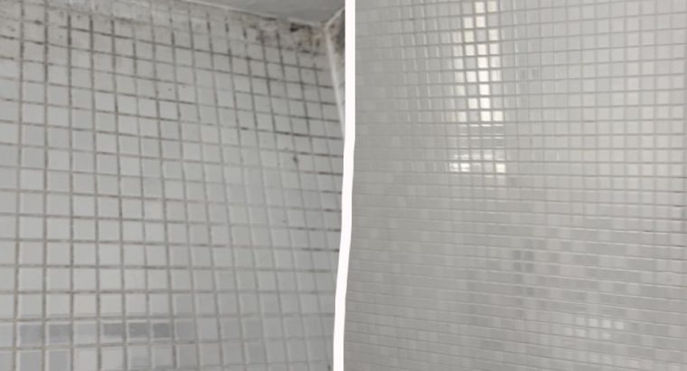 Get Premium Cleaning Services for Dirt and Germ-Free Spaces