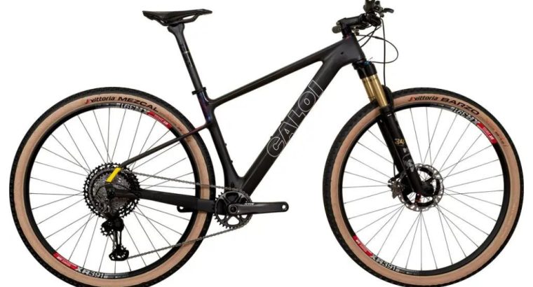 2025 Caloi ELITE CARBON TEAM Mountain Bike