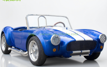 Classic Cobra Car Gasoline 150CC Sightseein Car Golf Cart