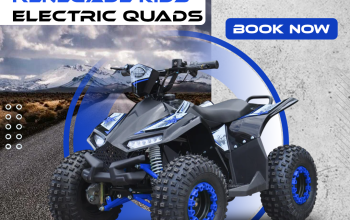 Powerful Adult Electric Bikes in Northern Ireland