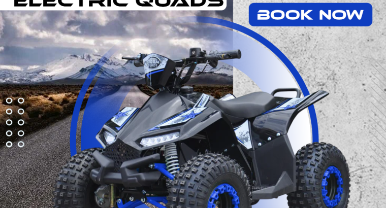 Powerful Adult Electric Bikes in Northern Ireland