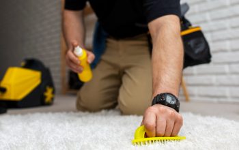 Professional Carpet Cleaning Services in Ipswich