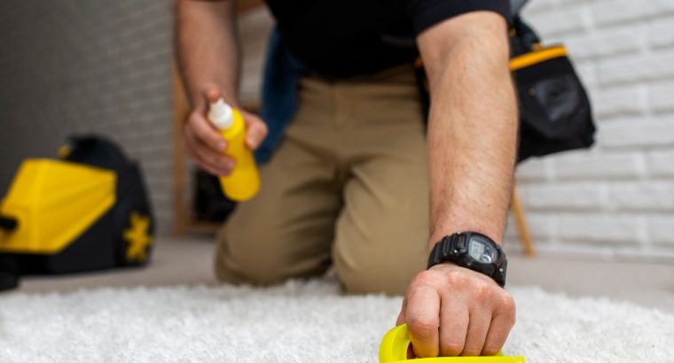Professional Carpet Cleaning Services in Ipswich