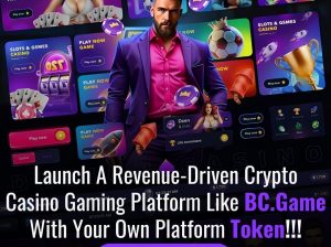 BC.Game Clone Software Integrated with Smart Contract Logic