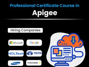 Advanced Apigee Training for API Management GoLogica