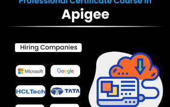 Advanced Apigee Training for API Management GoLogica