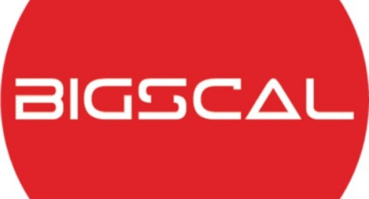 Bigscal The Ultimate Software Development Company