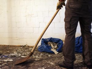 Post-Construction Cleaning in Devon – Sparkling Results