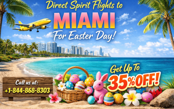 +1-844-868-8303 Direct Spirit Flights to Miami for Easter.