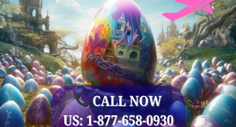 +1-877-658-0930 Book Cheap Spirit Flights to Miami