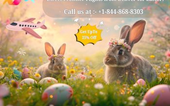+1-844-868-8303 Direct Frontier Flights from Denver