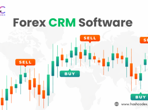 Manage clients smarter with forex CRM software by Hashcodex