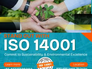 Why Choose ISO 14001 Certification Services in South Africa