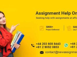 New Assignment Help