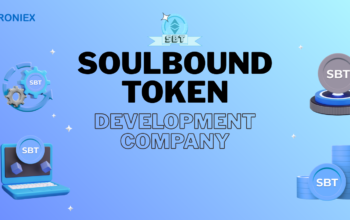 Custom Soulbound Token Development for Startups