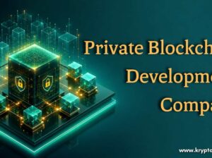 Top Private Blockchain Development Company for Businesses