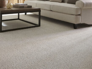 Wall to Wall Carpet Dubai – Premium Quality Flooring